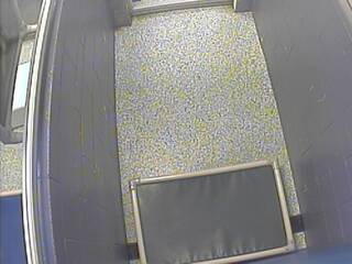 Eugene Kennel Cam