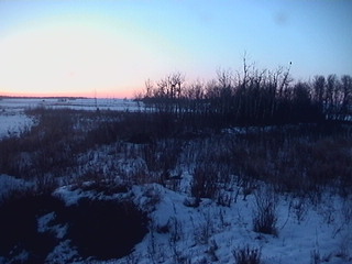 Big Lake Environment Support Society  - Big Lake Webcam