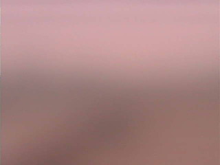 View from Ikeda Town Hall Roof