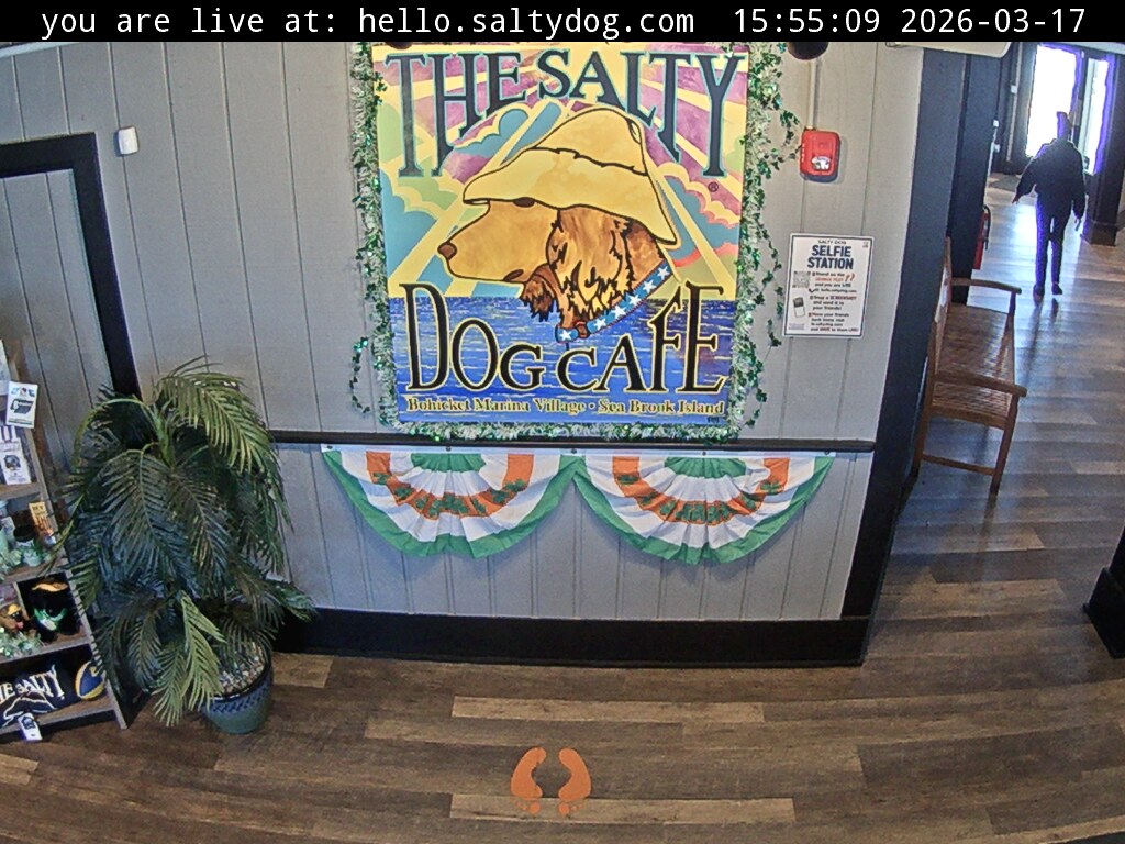 Webcam in Mount Pleasant,United States