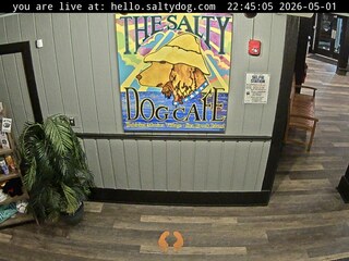 Downtown Salty Dog