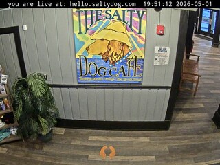 Downtown Salty Dog