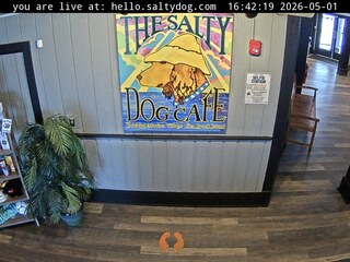 Downtown Salty Dog