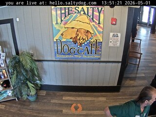 Downtown Salty Dog