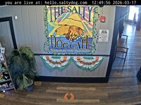 Webcam in Mount Pleasant,United States