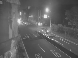 Road webcam