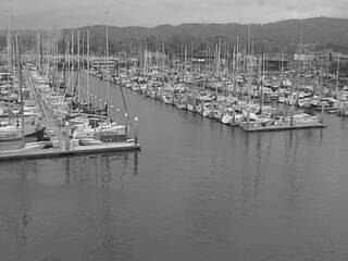 Harbor