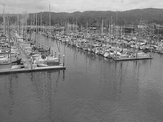 Harbor