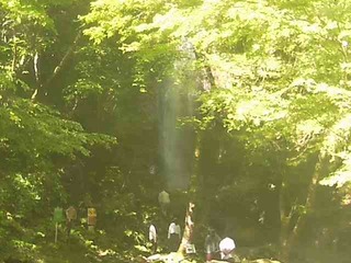 Waterfall Park