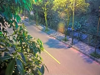 Road webcam