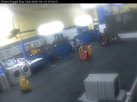 Ohana Doggie Day Care