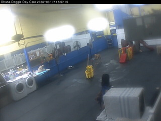 Webcam in Lahaina,United States