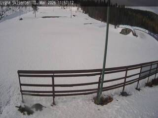 Webcam in Borgen,Norway