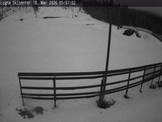 Webcam in Borgen,Norway