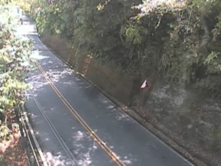Road webcam