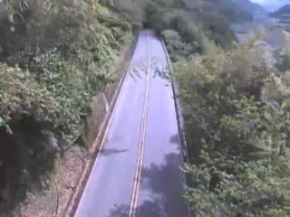 Road webcam