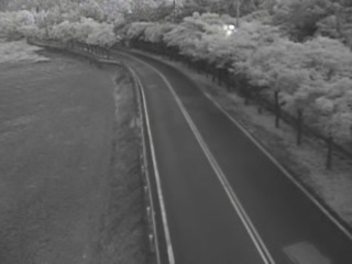 Road webcam