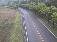 Road webcam