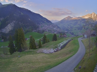 Alpine Driveway Cam