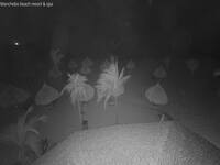 Manchebo Beach Resort & Spa