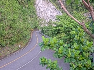 Road webcam