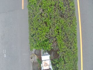 Road webcam