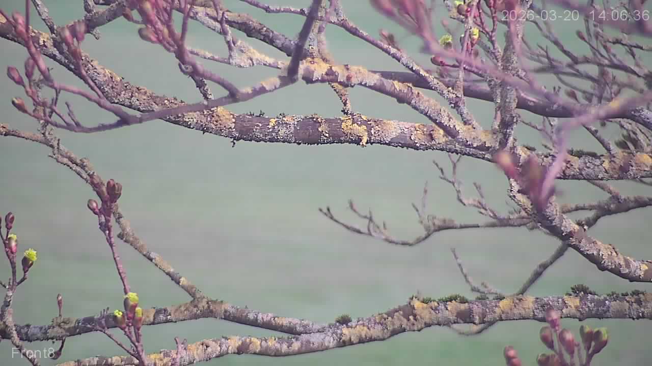 Webcam in Sheffield,United Kingdom