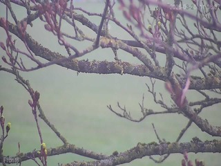 Webcam in Sheffield,United Kingdom