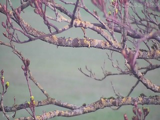 Webcam in Sheffield,United Kingdom