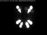 Webcam in Petersburg,United States