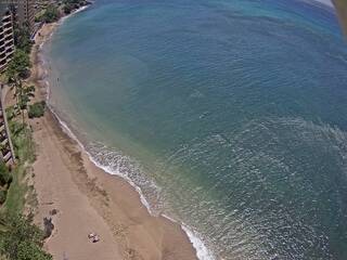 Pacific Ocean & Beach view