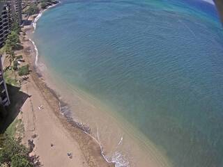 Pacific Ocean & Beach view