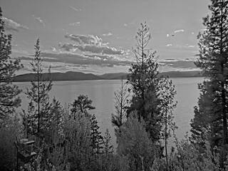 Lake view