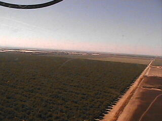 Webcam in Bakersfield,United States