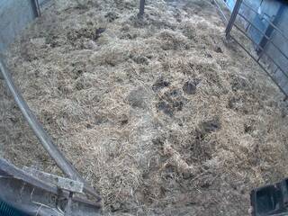 Cow pen
