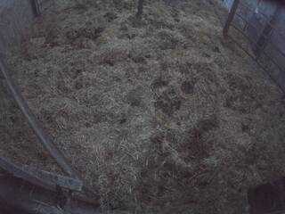 Cow pen