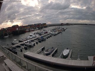 Harbor