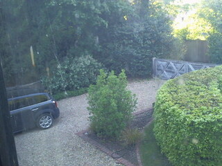 Driveway Cam