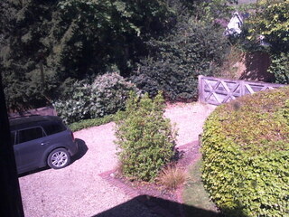 Driveway Cam