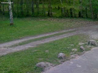 Driveway - South
