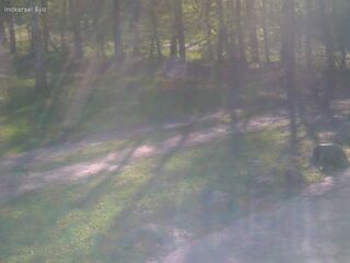 Driveway - South