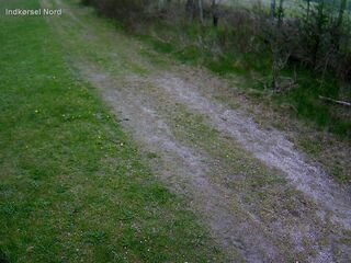 Driveway - North