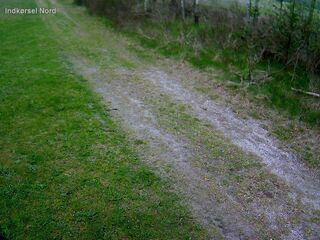 Driveway - North