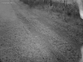 Driveway - North