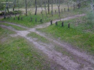 Driveway - Middle
