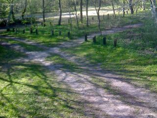 Driveway - Middle