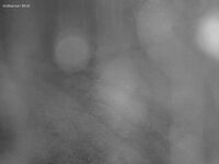 Webcam in Trustrup,Denmark