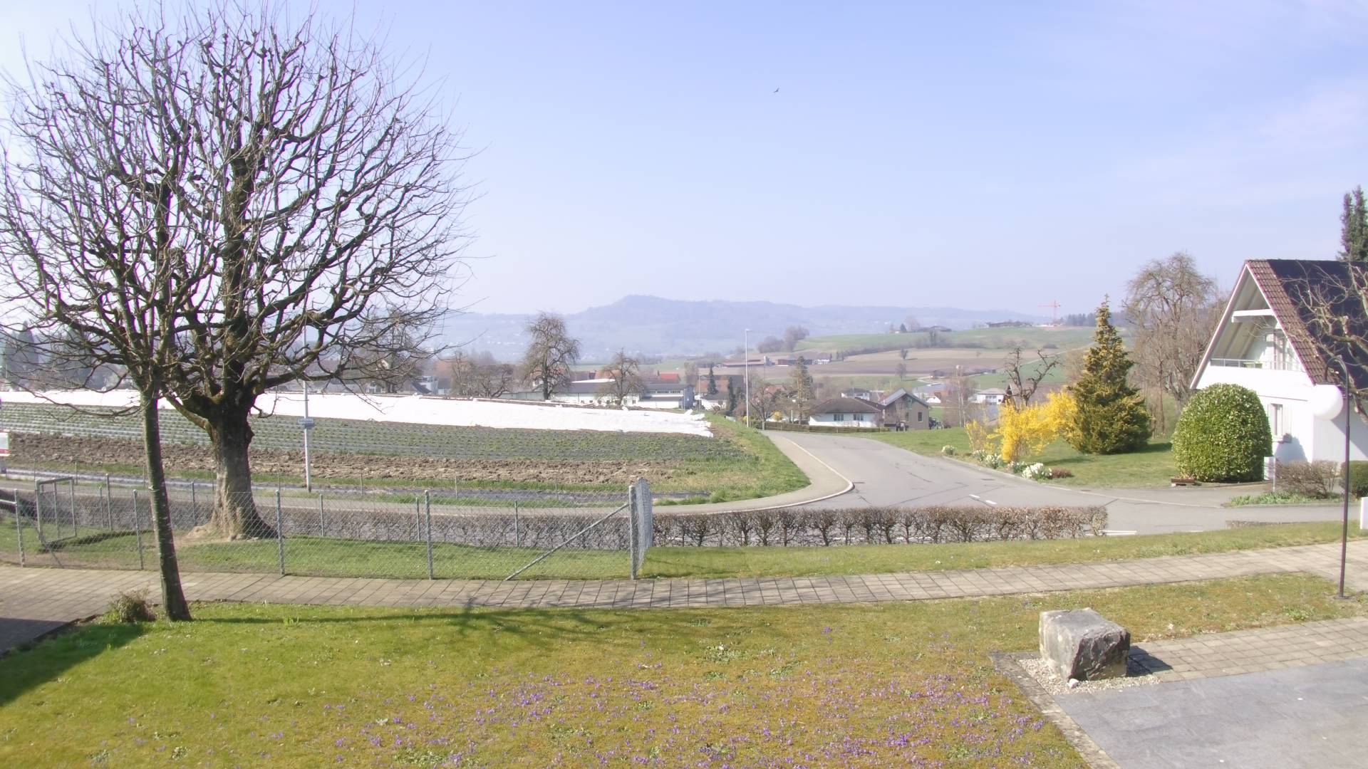 Webcam in Binz,Switzerland