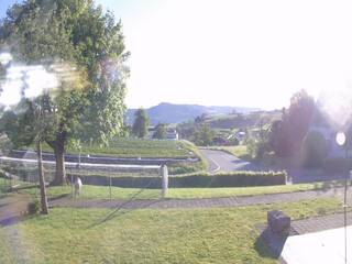Pastoral Front Yard View with Goat Pen