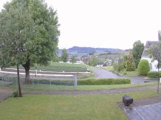 Pastoral Front Yard View with Goat Pen